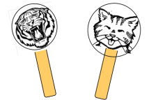 to tame a tiger craft